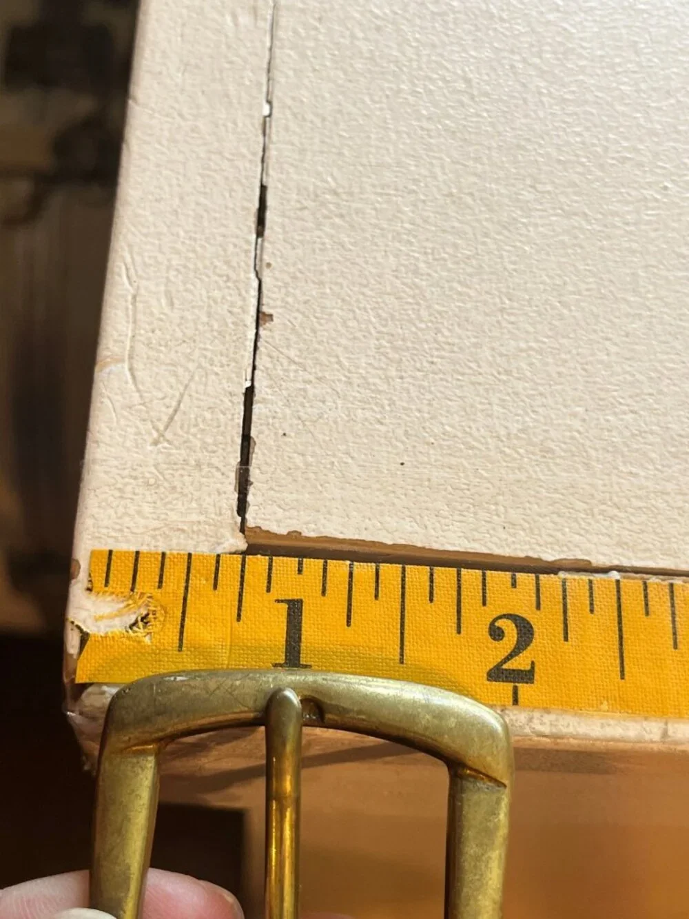 Fossil great pre